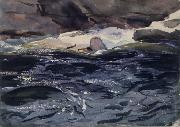 John Singer Sargent, Salmon River